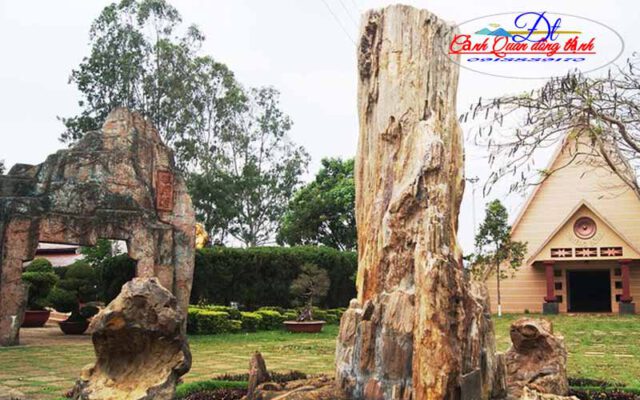 Đá gỗ hóa thạch Campuchia