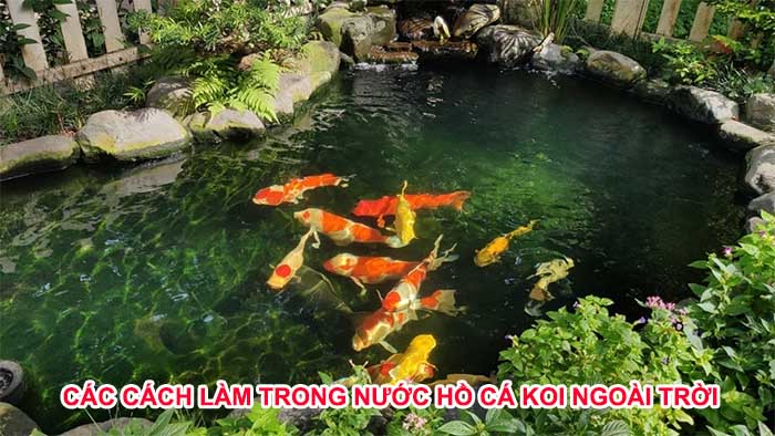 các cách làm trong nước hồ cá koi ngoài trời