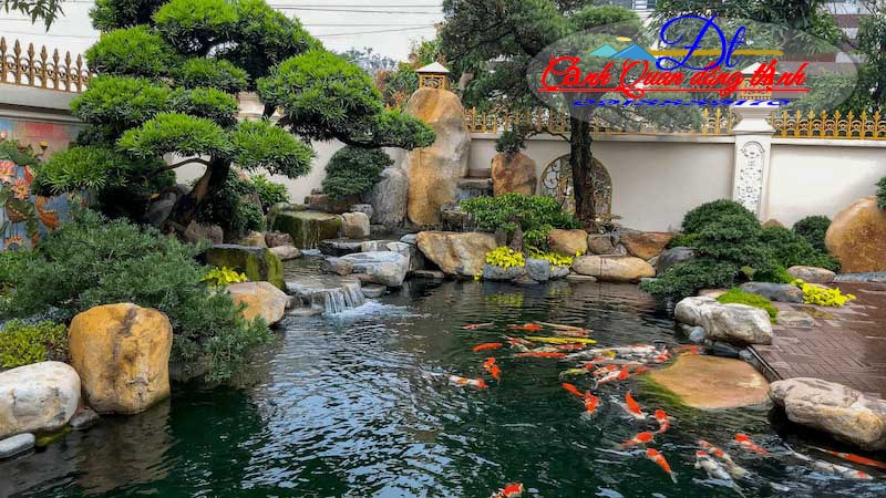chi phí thi công hồ cá koi