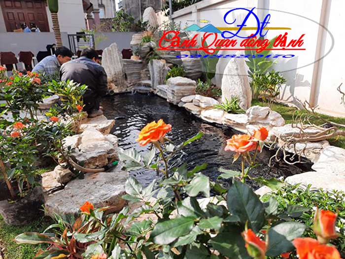 hồ cá koi củ chi t920233