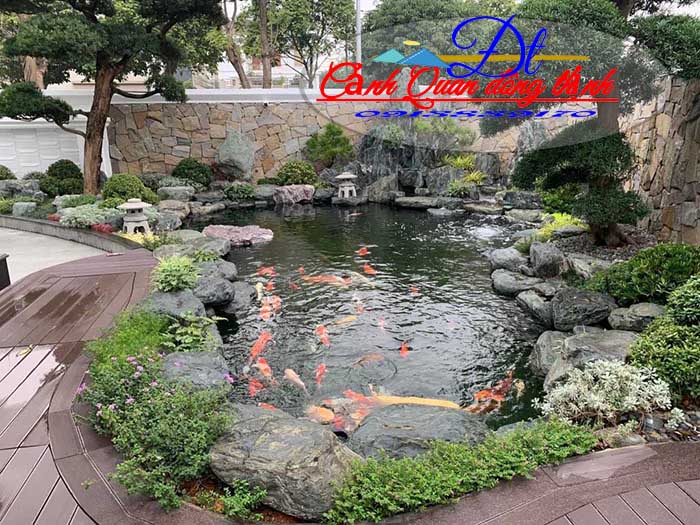 hồ cá koi củ chi t920234