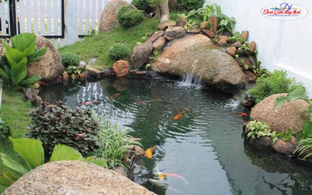 hồ cá koi ngoài trời đẹp