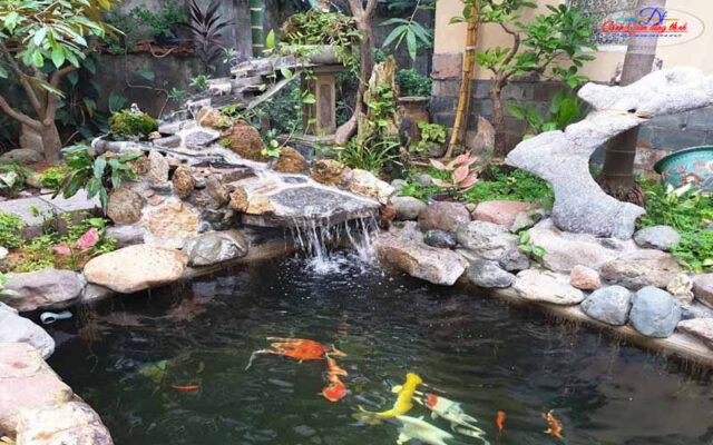 thiết kế hồ cá koi ngoài trời
