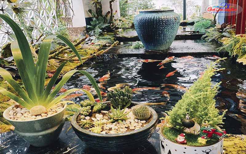 tại sao nên sử dụng bộ lọc sinh học để nâng cao chất lượng nước