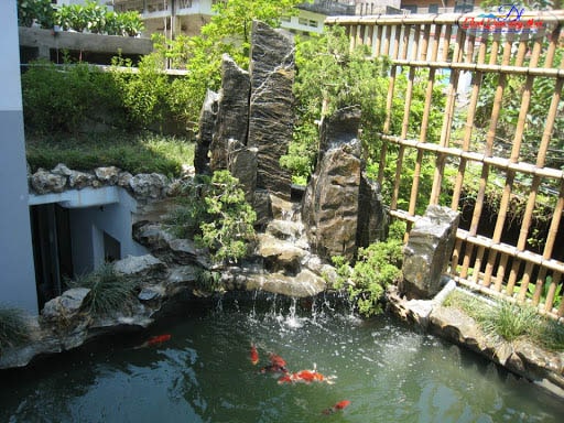 Suy nghĩ về các lựa chọn khác với hình dạng của ao