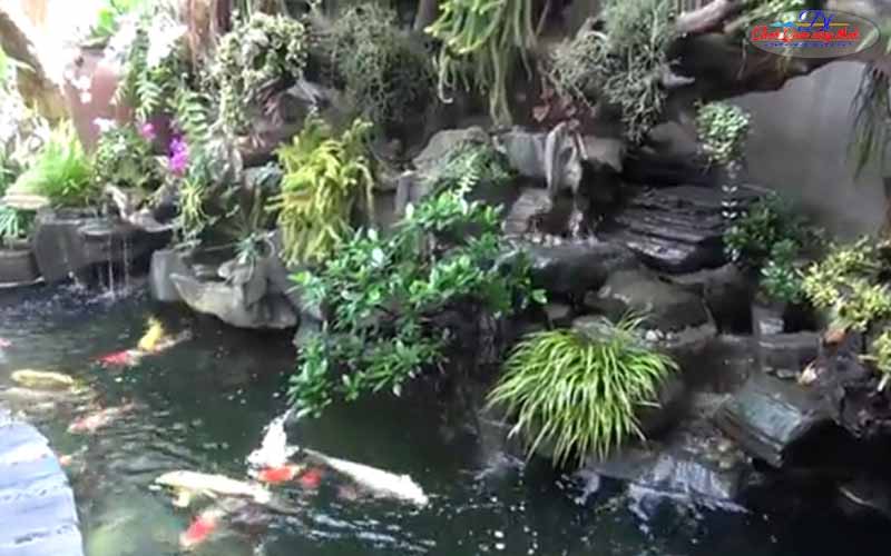 hồ cá koi trong nhà đẹp