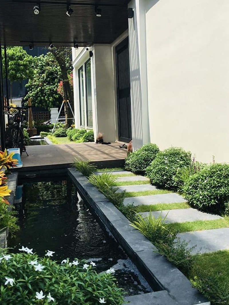 mau ho ca koi mini dep 08