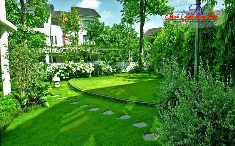 mẫu sân vườn đẹp 1