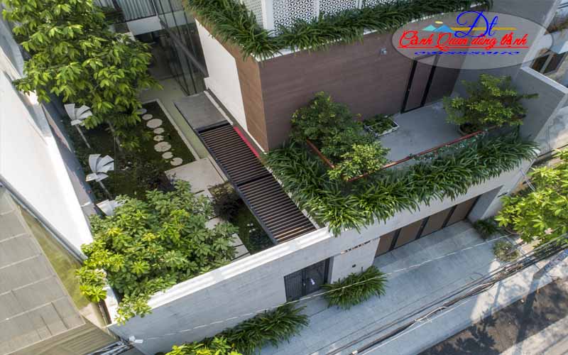 mẫu sân vườn đẹp 4