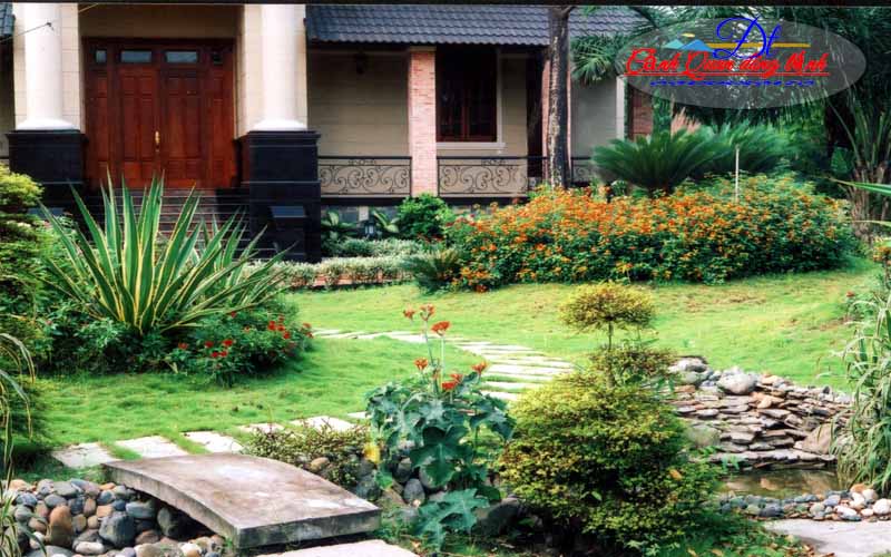 mẫu sân vườn đẹp 7