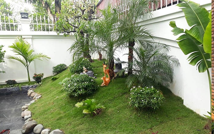 Mẫu tiểu cảnh sân vườn đẹp - Hình 8