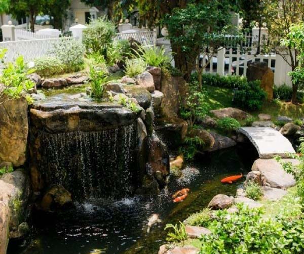 Lập kế hoạch hồ của bạn