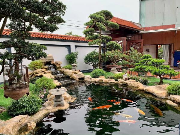 Thi Công Hồ Cá Koi An Giang - Khám Phá Nghệ Thuật Và Kỹ Thuật Tại Miền Tây