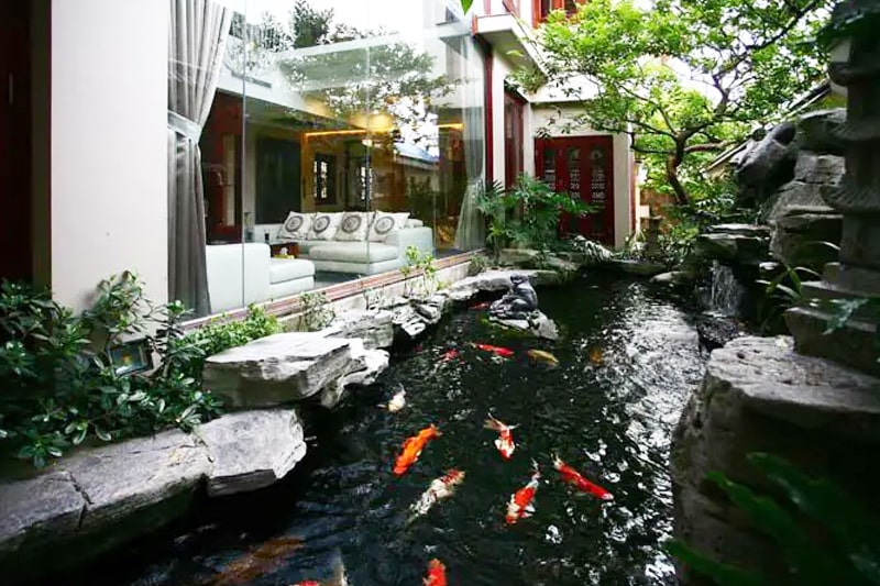 thi công hồ cá koi cà mau 2