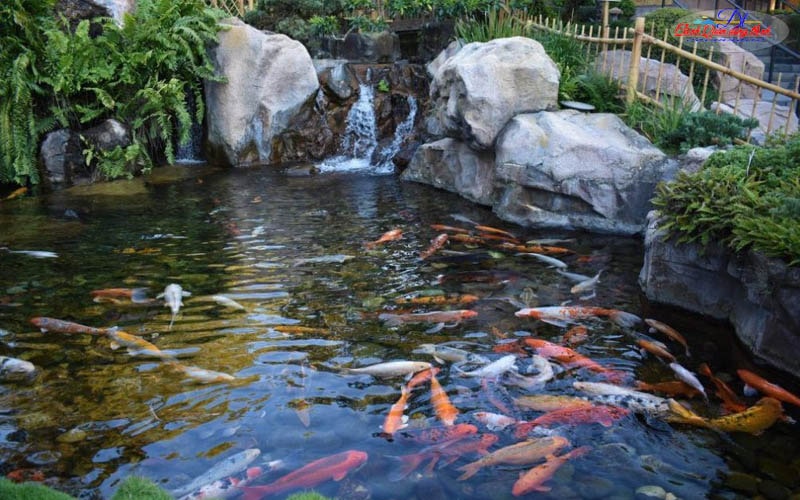 mẫu hòn non bộ nuôi cá Koi