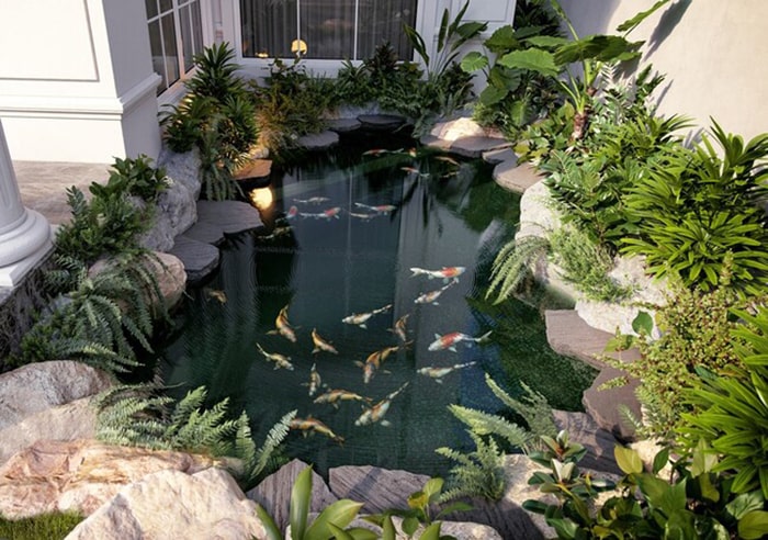thi công hồ cá koi tiền giang 202504
