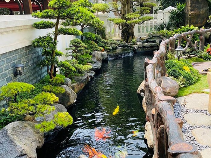 thi công hồ cá koi tiền giang 202505