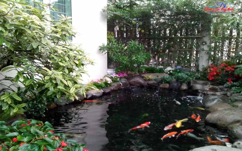 hồ cá koi mini đẹp