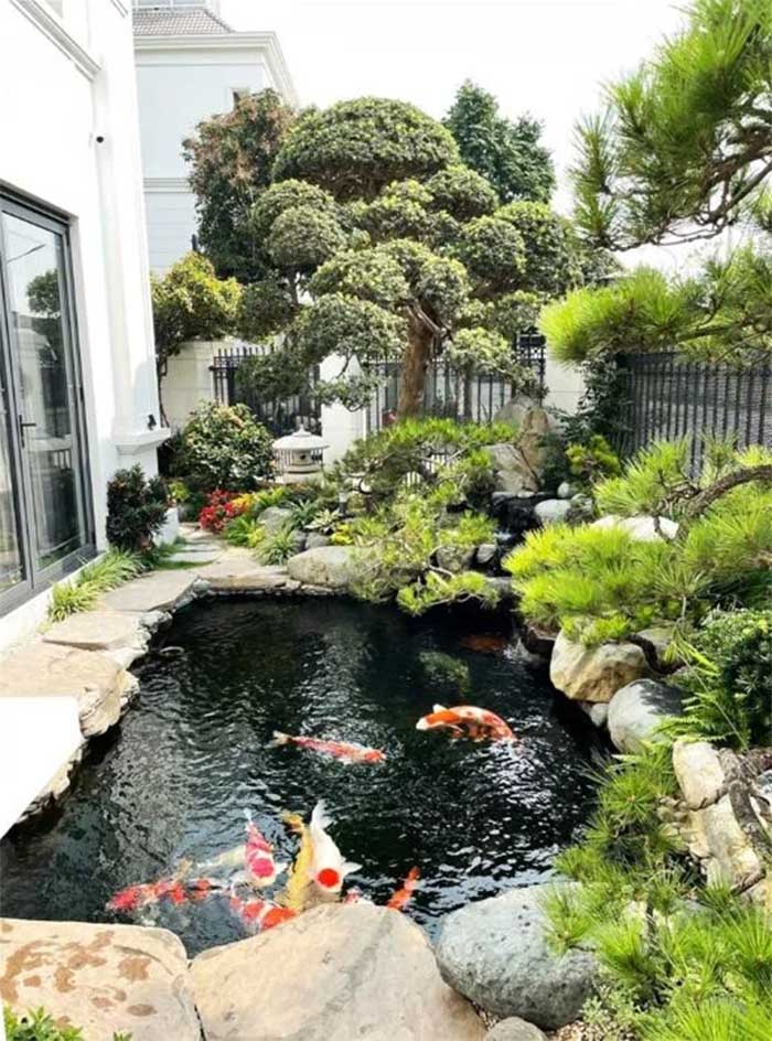 thi công hồ cá koi trà vinh 3