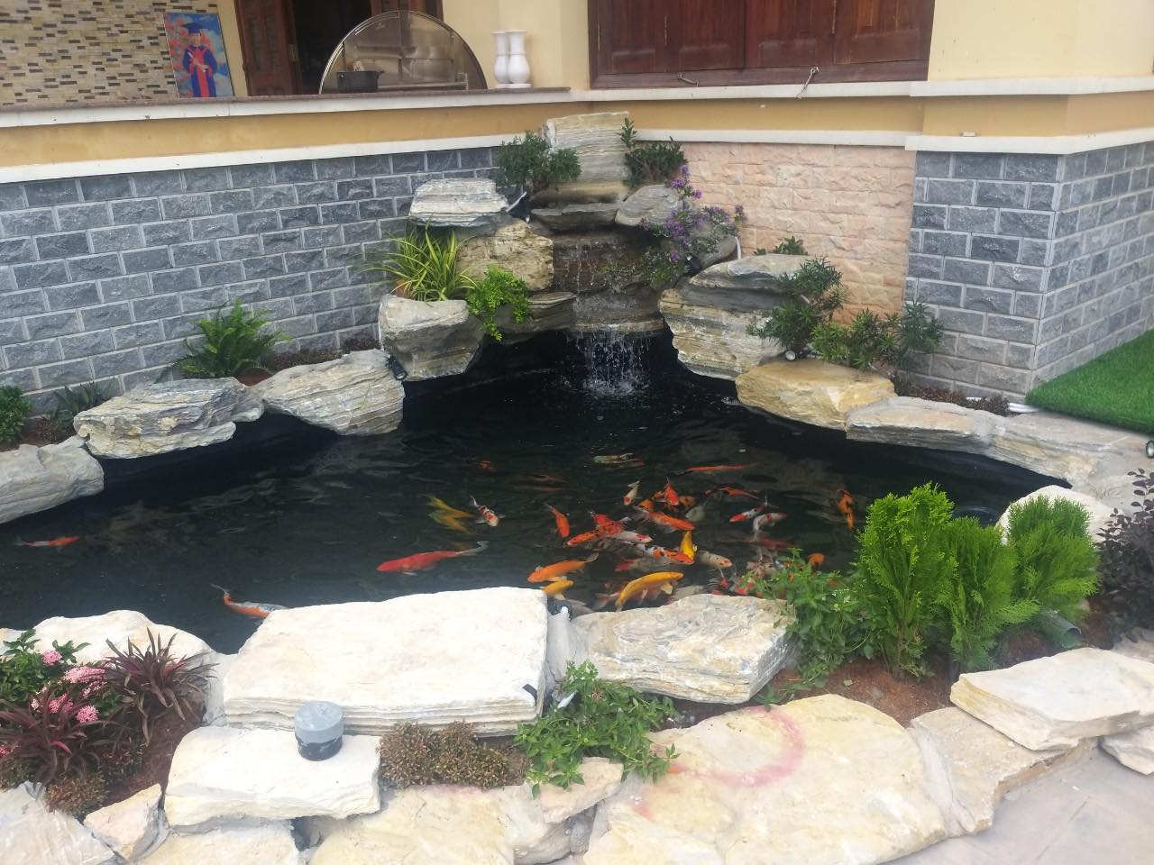 thiết kế hồ cá koi 10