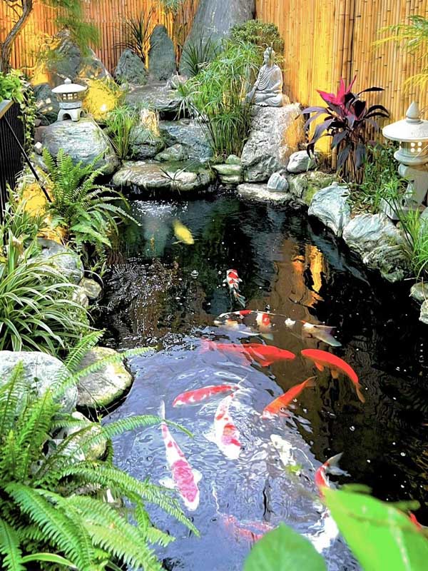 thiết kế hồ cá koi 8