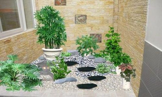 tiểu cảnh giếng trời trong nhà. Ảnh 4