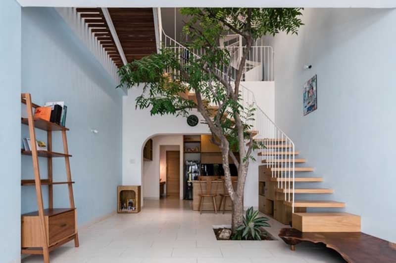 tiểu cảnh giếng trời 2