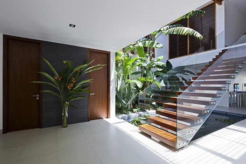 tiểu cảnh giếng trời 8