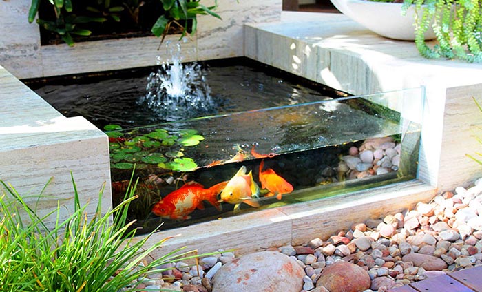 Tiểu cảnh hồ cá trong nhà 3