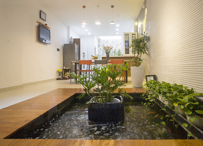 Tiểu cảnh hồ cá trong nhà 7