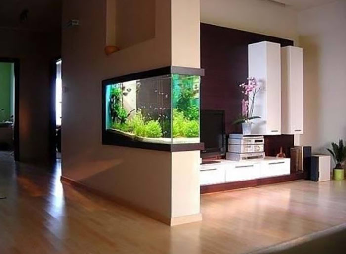 Tiểu cảnh hồ cá trong nhà 9