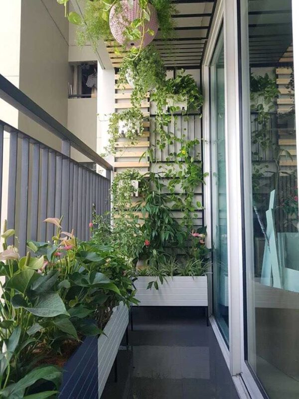 Trang trí ban công M2