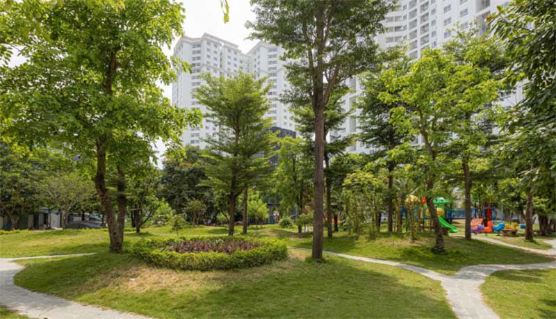 trồng cây xanh chung cư