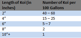 những điều cần biết khi nuôi cá trong bể